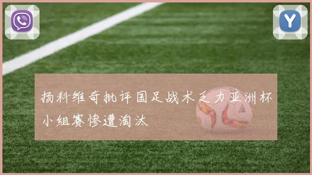 扬科维奇批评国足战术乏力亚洲杯小组赛惨遭淘汰