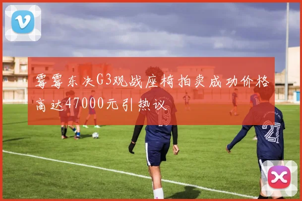 霉霉东决G3观战座椅拍卖成功价格高达47000元引热议